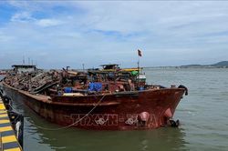 Bắt giữ t&agrave;u chở c&aacute;t kh&ocirc;ng r&otilde; nguồn gốc tr&ecirc;n v&ugrave;ng biển Cần Giờ