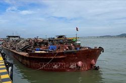 Bắt giữ tàu chở cát không rõ nguồn gốc trên vùng biển Cần Giờ