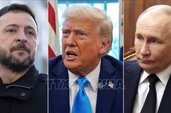 Truyền thông Mỹ: Giám đốc CIA đề xuất cuộc gặp ba bên Mỹ - Nga - Ukraine