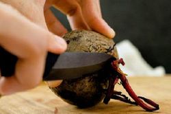 Mỹ đánh giá 'củ tốt bậc nhất thế giới', hóa ra ở Việt Nam hễ ra chợ là thấy