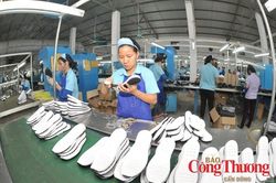 GoGlobal và cách làm mới để doanh nghiệp đi xa
