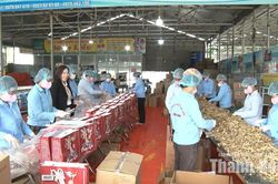Nông dân đổi mới tư duy, vươn lên làm chủ doanh nghiệp