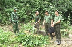 Mô hình “Biên giới bình yên - xã không xuất, nhập cảnh trái phép”