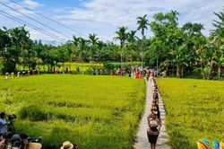 Độc đáo trình diễn thời trang mo cau