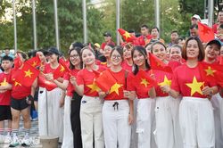 30.000 người dân Đồng Nai đi bộ 'Cùng Việt Nam tiến bước'