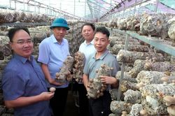 Phó Bí thư Thường trực Tỉnh ủy Hoàng Giang thăm các mô hình phát triển kinh tế tại xã Púng Luông