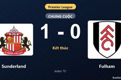 Thống kê trận đấu Sunderland 1-0 Fulham: W. Isidor tỏa sáng, Sunderland giành trọn 3 điểm