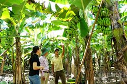 Dựng xây nếp sống mới