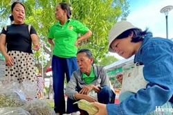 Định vị thương hiệu, mở rộng thị trường