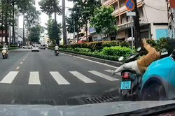 Taxi bất ngờ vượt phải húc bay xe máy đang qua đường
