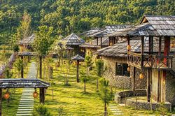 Sơn La: Ngọc Chiến biến lợi thế bản địa thành sinh kế