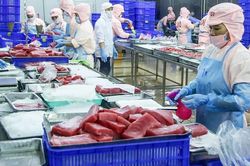 Minh bạch xuất xứ để khẳng định uy tín hàng Việt
