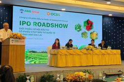 HAGL chuyển nhượng gần 15 triệu cổ phần HGI với giá thấp hơn IPO