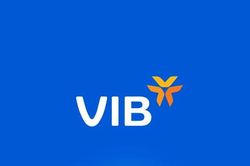 Cơ cấu lại hàng nghìn tỷ trái phiếu, VIB chốt lịch phát hành cổ phiếu tăng vốn