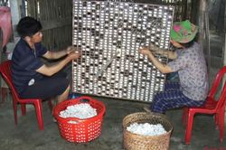 Hiệu quả mô hình trồng dâu, nuôi tằm