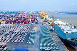 Hải Phòng đổi đầu mối tiếp nhận hồ sơ kiểm tra thực phẩm nhập khẩu từ 1/9