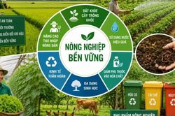 Cốt lõi của phát triển bền vững trong nông nghiệp