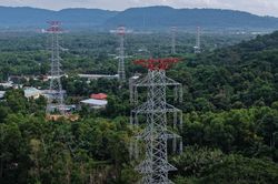 Điện lực miền Nam: Vượt khó 'về đích' 3 công trình trọng điểm phục vụ APEC 2027