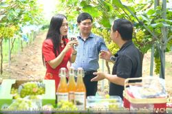 Đẩy mạnh chuyển đổi số ở n&ocirc;ng th&ocirc;n: Thay đổi c&aacute;ch tổ chức sản xuất, kết nối thị trường