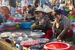 Hộ kinh doanh doanh thu dưới 10 tỷ/năm sẽ tạm nộp thuế theo phương án này