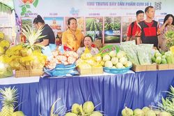 Nâng tầm giá trị nông sản