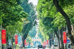 Thời tiết ngày 31/8: Bắc Bộ nhiều nơi có nắng, trời dịu mát; Trung Bộ và Nam Bộ mưa to vào chiều tối