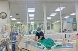Cảnh báo sốt mò có thể gây sốc, suy đa tạng