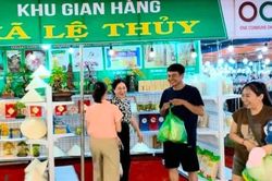 Quảng Trị: Hơn 50,3 tỷ đồng xúc tiến thương mại, mở rộng thị trường cho sản phẩm OCOP