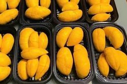 Sầu riêng gai đen gần 1 triệu đồng/quả, vì sao vẫn hút khách