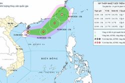 Áp thấp nhiệt đới có khả năng mạnh lên bão cấp 8