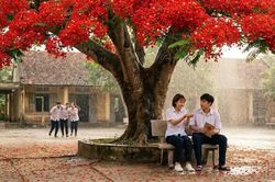 Hạ cuối