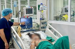 Bé gái 14 tuổi sốc, suy đa tạng vì một vết mò đốt dưới ngực