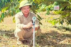 Triển khai Nghị quyết 57: Quảng Ngãi từng bước hiện thực hóa mục tiêu xây dựng nền nông nghiệp thông minh, xanh và bền vững