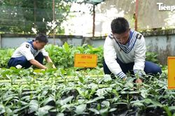 Lính trẻ vun đắp màu xanh giữa Trường Sa