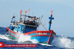 21 tỉnh, thành chủ động ứng phó áp thấp nhiệt đới