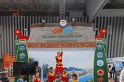 Gia Lai lan tỏa sắc màu 'Đại ngàn chạm biển xanh' tại hội chợ du lịch quốc tế
