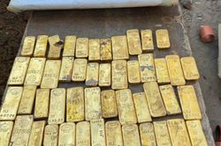 Cải tạo căn nhà 100 năm tuổi, phát hiện 49 thỏi vàng trị giá 9 triệu euro