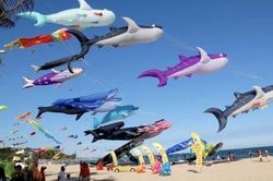 Festival diều 'Bay cùng gió biển Sầm Sơn'