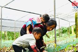 Chương trình mục tiêu Quốc gia: Từ cộng gộp cơ học đến chuyển biến thực chất