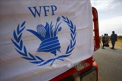 WFP mở rộng dự án phát triển hệ thống lương thực ở Cuba