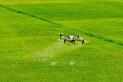 Cánh đồng lớn mở đường cho nông nghiệp hiện đại