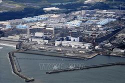 Nhật Bản ứng dụng AI trong tháo dỡ nhà máy điện hạt nhân Fukushima