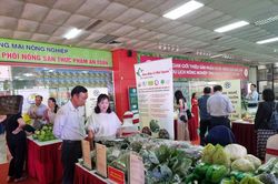 Hà Nội nâng tầm sản phẩm OCOP có khả năng cạnh tranh