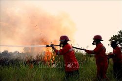 Indonesia huy động hàng trăm quân nhân ứng phó cháy rừng, phục hồi hệ sinh thái