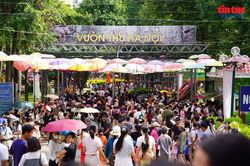 Vườn thú Hà Nội thu hút đông đảo du khách dịp nghỉ lễ 2/9