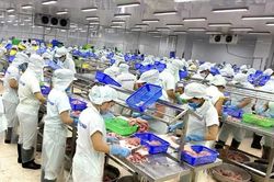 Đồng Tháp đặt mục tiêu có 35.000 doanh nghiệp hoạt động vào năm 2030