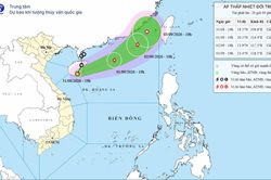 Diễn biến mới của áp thấp nhiệt đới