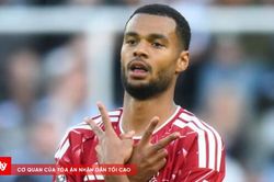 Đội trưởng Virgil van Dijk lên tiếng khuyên Liverpool giữ Cody Gakpo trước sự nhòm ngó của Man City