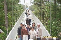 Đà Lạt giữ tình du khách từ một chuyến bay bị hủy