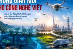 PGS.TS Nguyễn Gia Như nói gì về kinh tế tầm thấp và kinh tế không gian?